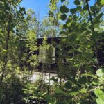 la escondida m#1 (13)